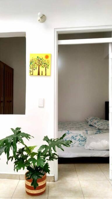Apartment Amoblado En La Tebaida, Quindio
